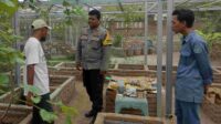 Bhabinkamtibmas Sambang Desa Jembatan Gantung, Dorong Ketahanan Pangan dan Kamtibmas (4) Bhabinkamtibmas Sambang Desa Jembatan Gantung, Dorong Ketahanan Pangan dan Kamtibmas