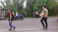 Pilkada Damai, Penertiban APK di Labuapi Lombok Barat Berjalan Mulus (6) Pilkada Damai, Penertiban APK di Labuapi Lombok Barat Berjalan Mulus