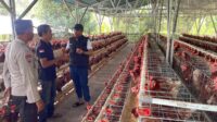 Polres Lombok Barat Dukung Kemandirian Pangan Melalui Program Asta Cita (3) Polres Lombok Barat Dukung Kemandirian Pangan Melalui Program Asta Cita