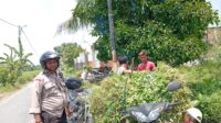 Bhabinkamtibmas Merembu Dukung Ketahanan Pangan, Warga Semangat! (3) Bhabinkamtibmas Merembu Dukung Ketahanan Pangan, Warga Semangat!
