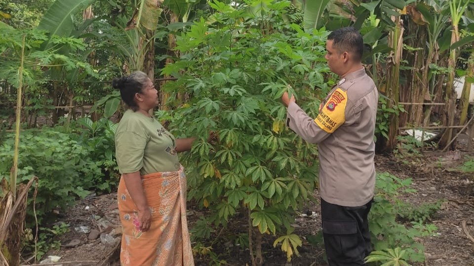 Bripka Okto Gencar Dukung Ketahanan Pangan, Ajak Warga Bertani (5) Bripka Okto Gencar Dukung Ketahanan Pangan, Ajak Warga Bertani