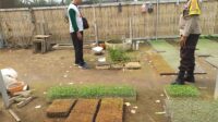 Ketahanan Pangan di Lombok Barat, Polisi Gandeng Petani Sukses Manfaatkan Pekarangan