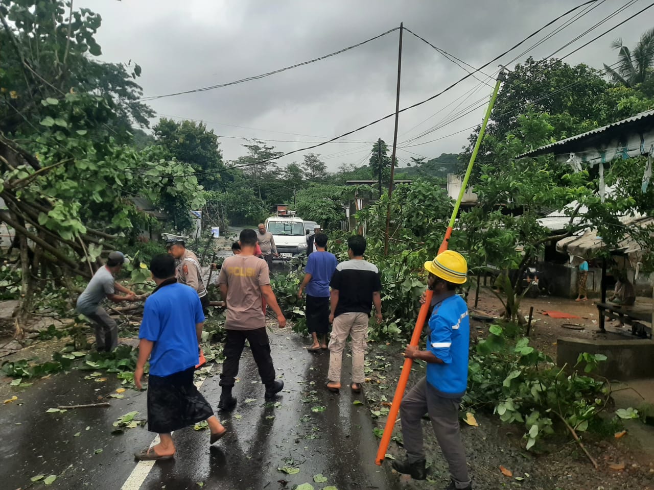 Pohon Tumbang Blokade Jalan Raya Sekotong, Polisi Gerak Cepat! (4) Pohon Tumbang Blokade Jalan Raya Sekotong, Polisi Gerak Cepat!