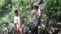 Polisi Apresiasi Warga Bengkaung Manfaatkan Pekarangan Jadi Lahan Produktif (1) Polisi Apresiasi Warga Bengkaung Manfaatkan Pekarangan Jadi Lahan Produktif