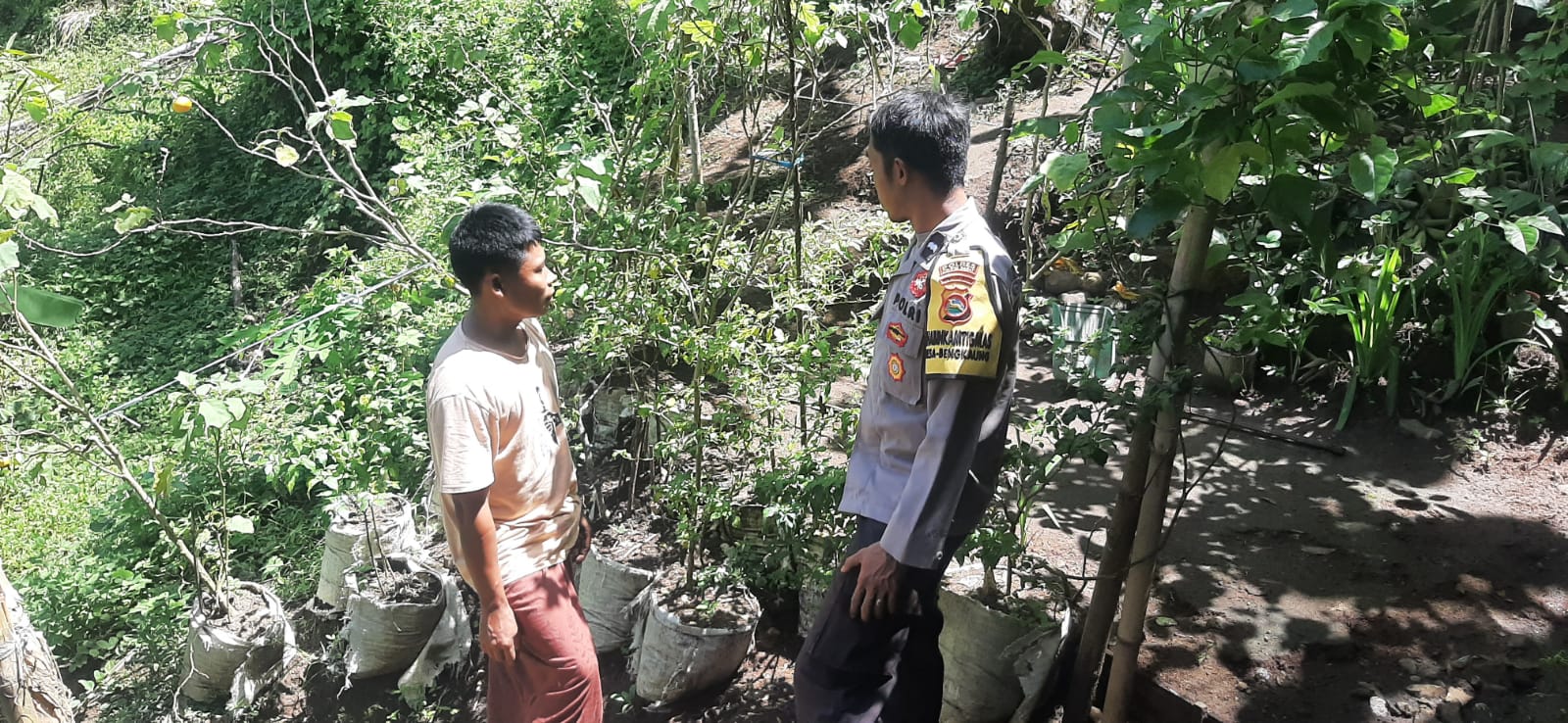Polisi Apresiasi Warga Bengkaung Manfaatkan Pekarangan Jadi Lahan Produktif (1) Polisi Apresiasi Warga Bengkaung Manfaatkan Pekarangan Jadi Lahan Produktif