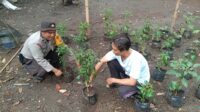 Polsek Labuapi Gencarkan Ketahanan Pangan, Ajak Warga Maksimalkan Lahan (1) Polsek Labuapi Gencarkan Ketahanan Pangan, Ajak Warga Maksimalkan Lahan
