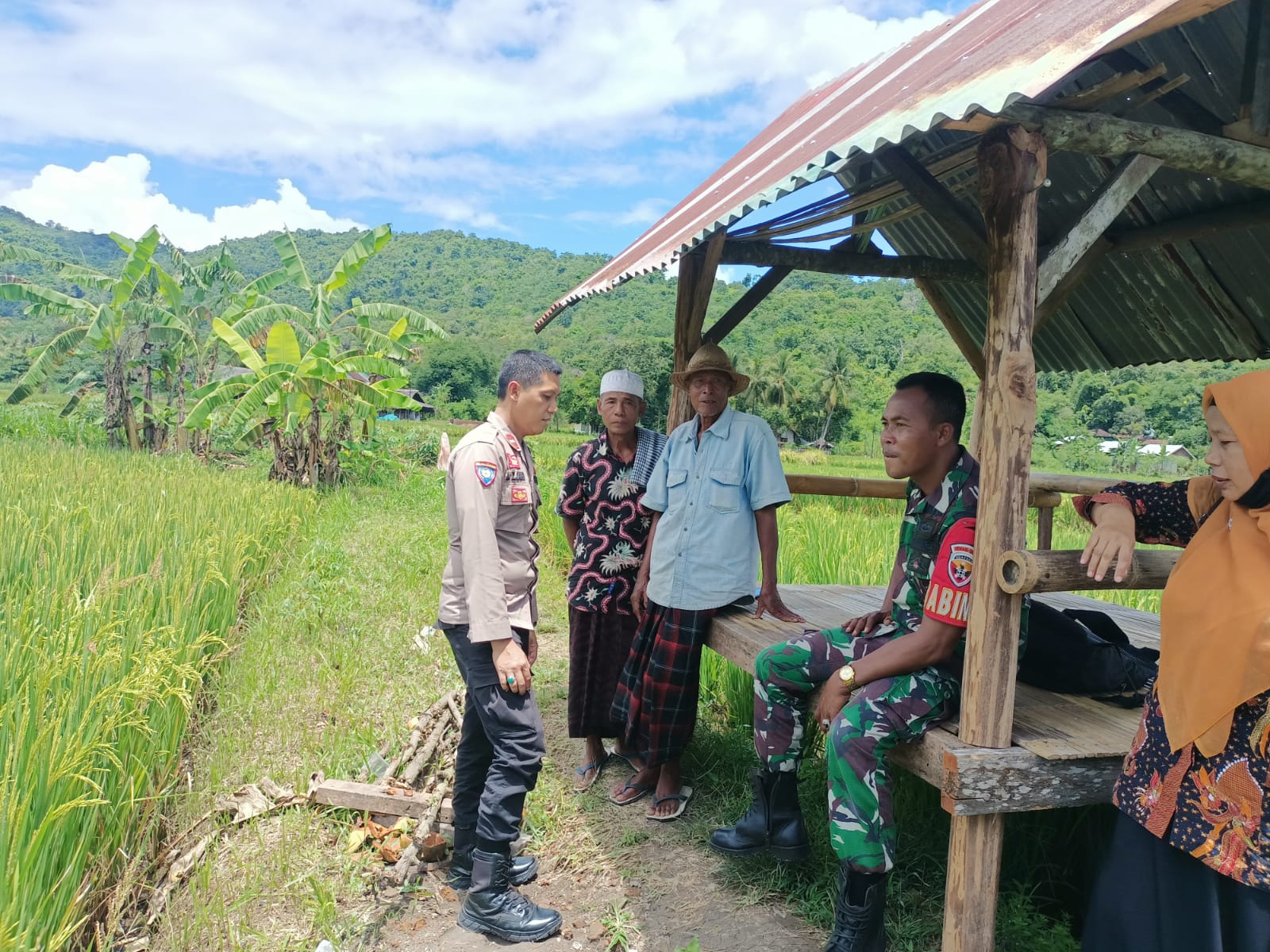 Sinergi Polri dan Petani, Wujudkan Ketahanan Pangan di Kuripan Selatan (3) Sinergi Polri dan Petani, Wujudkan Ketahanan Pangan di Kuripan Selatan