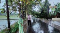 Pohon Tumbang Tutupi Jalan di Perumahan Mavilla, Polisi dan Warga Sigap Evakuasi (1) Pohon Tumbang Tutupi Jalan di Perumahan Mavilla, Polisi dan Warga Sigap Evakuasi