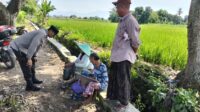 Polisi Turun ke Sawah! Bhabinkamtibmas Dukung Petani di Labuapi (3) Polisi Turun ke Sawah! Bhabinkamtibmas Dukung Petani di Labuapi