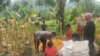 Polri dan Petani Bersinergi, Bhabinkamtibmas Pantau Langsung Panen Jagung di Sekotong (4) Sinergi Polri dan Petani: Bhabinkamtibmas Kawal Panen Jagung di Lombok Barat