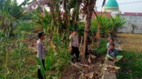 Sinergi Polri dan Petani, Polsek Labuapi Ajak Petani Majukan Pertanian (3) polsek, labuapi, polri, petani, pertanian, dukungan, program, pemerintah, bhabinkamtibmas, sinergi
