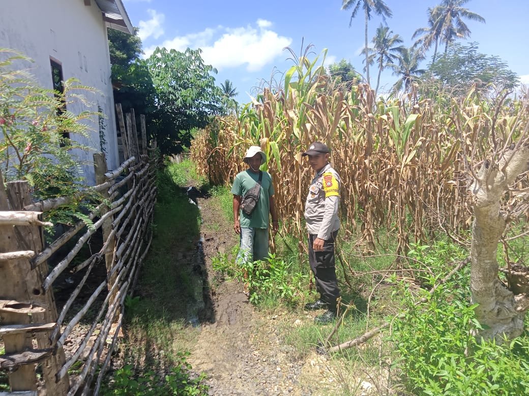 WhatsApp Image 2025-03-08 at 14.44.39