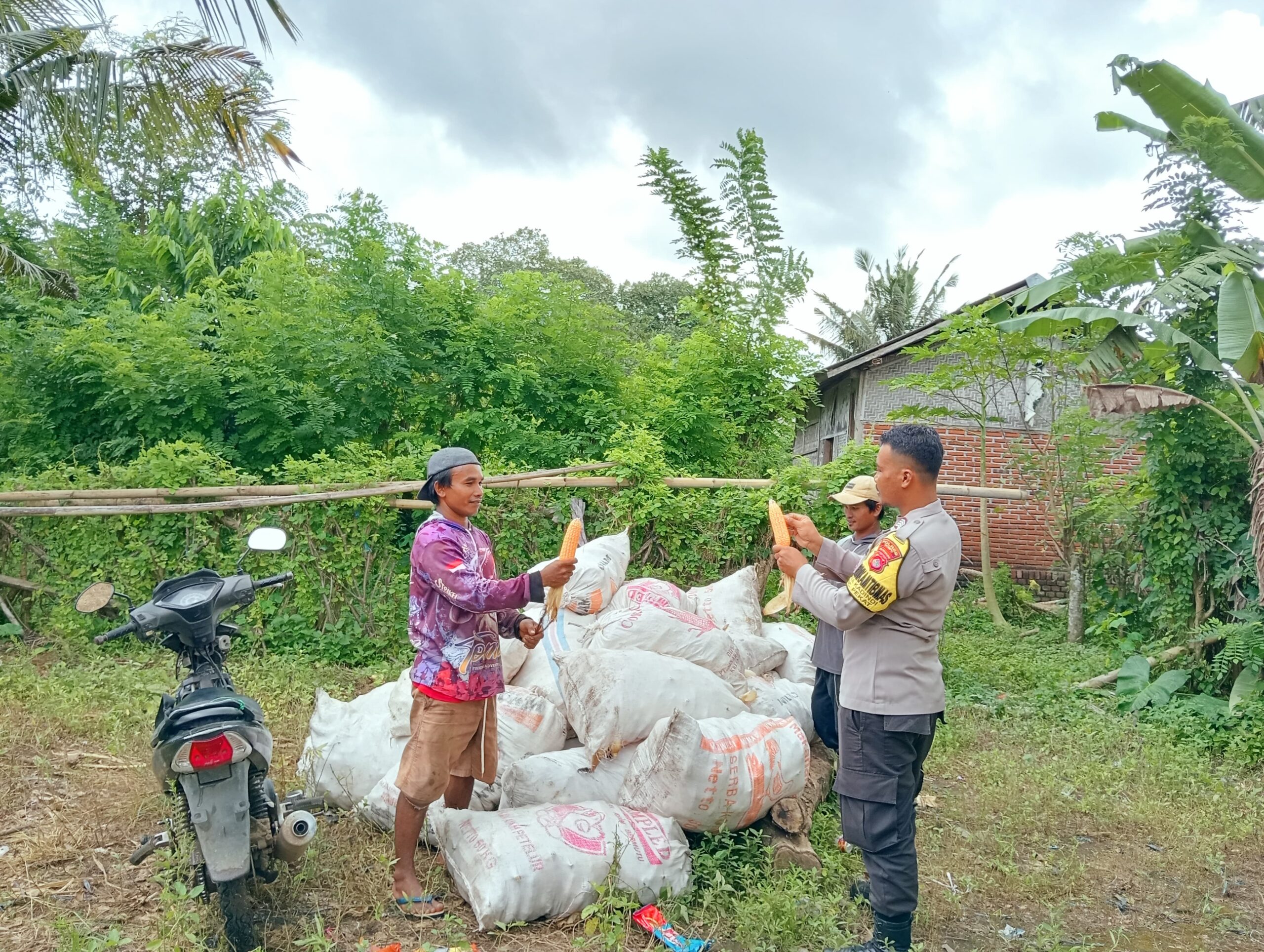 WhatsApp Image 2025-03-08 at 15.41.27