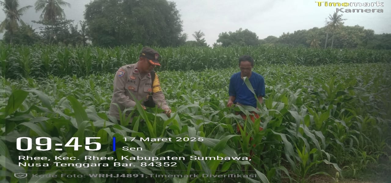 WhatsApp Image 2025-03-17 at 10.11.46