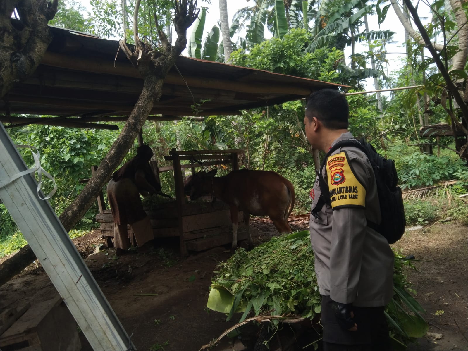 WhatsApp Image 2025-03-29 at 14.37.56 (1) Ketahanan Pangan Dimulai dari Rumah: Bhabinkamtibmas Beri Edukasi Warga