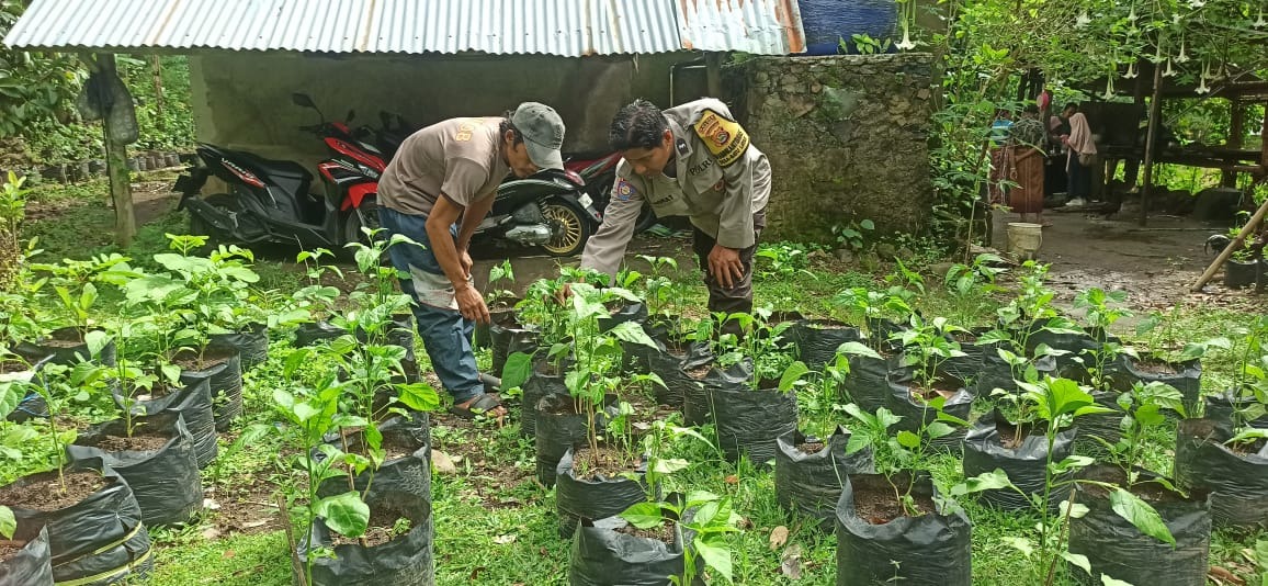 Bhabinkamtibmas Desa Batulayar Dukung Ketahanan Pangan Warga