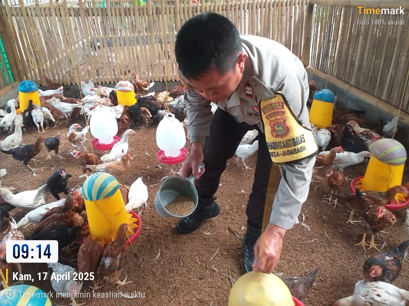 Bhabinkamtibmas Kuripan Aktif Sosialisasi Ketahanan Pangan ke Peternak Ayam (1) Bhabinkamtibmas Kuripan Aktif Sosialisasi Ketahanan Pangan ke Peternak Ayam