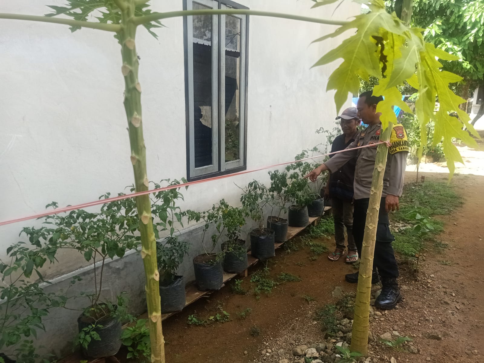 Bhabinkamtibmas Taman Baru Aktif Jalin Silaturahmi, Dukung Ketahanan Pangan Warga (3) Polri dan Warga Bangun Ketahanan Pangan Lewat Pekarangan Rumah di Sekotong