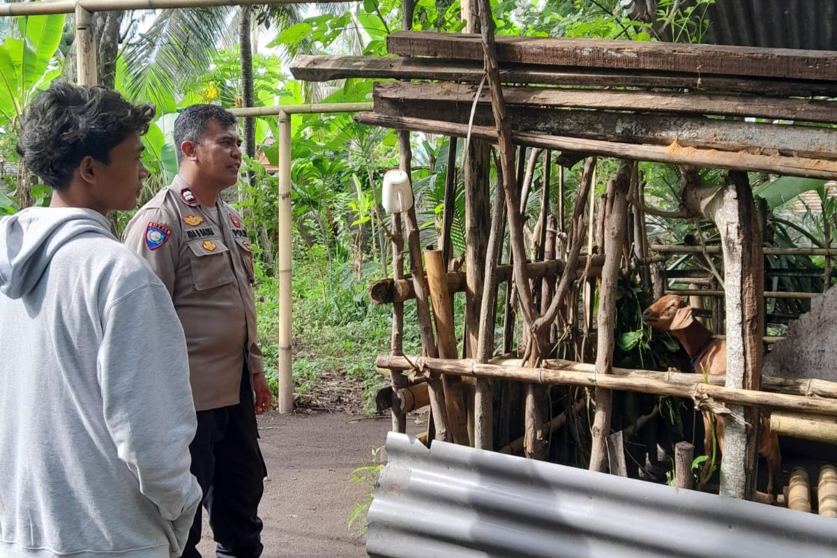 Kolaborasi Polisi dan Warga Bhabinkamtibmas Senggigi Perkuat Ketahanan Pangan di Dusun Krandangan (1) Kolaborasi Polisi dan Warga Bhabinkamtibmas Senggigi Perkuat Ketahanan Pangan di Dusun Krandangan