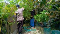 Polri NTB Aktif Dorong Ketahanan Pangan Lewat Pekarangan Warga (3) Sinergi Polri-Warga Lombok Barat Wujudkan Swasembada Pangan dari Rumah