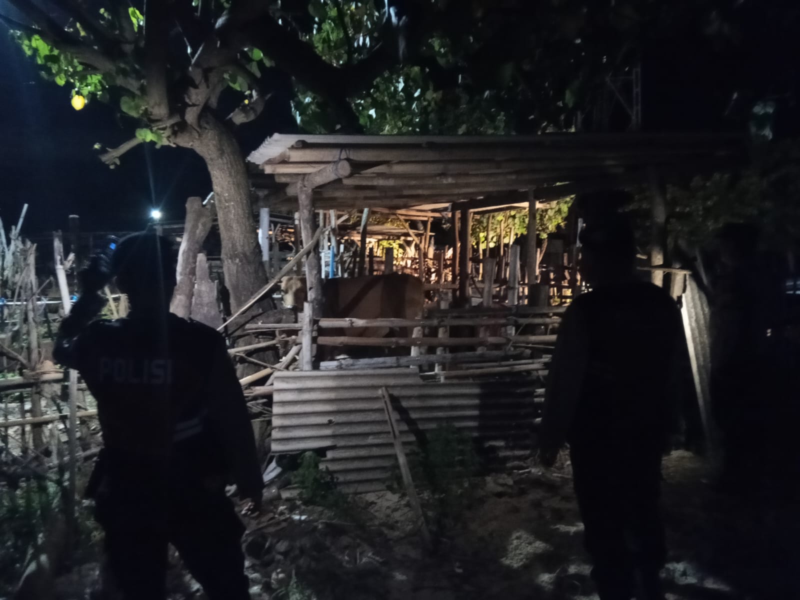 Polsek Sekotong Intensifkan Patroli Malam, Sasar Kandang Ternak Cegah Kejahatan (3) Polsek Sekotong Intensifkan Patroli Malam, Sasar Kandang Ternak Cegah Kejahatan