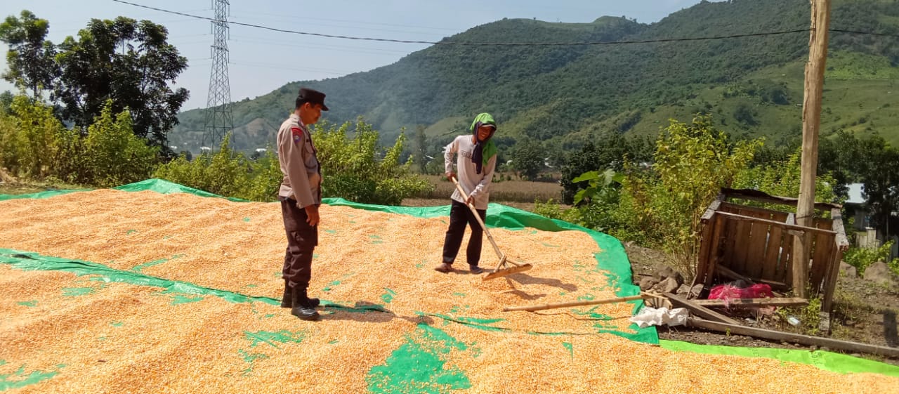 WhatsApp Image 2025-04-10 at 19.24.23