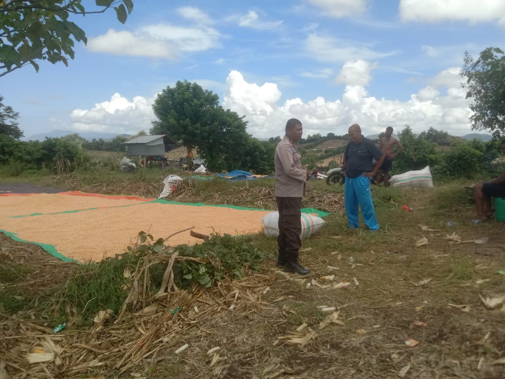 WhatsApp Image 2025-04-15 at 19.06.08