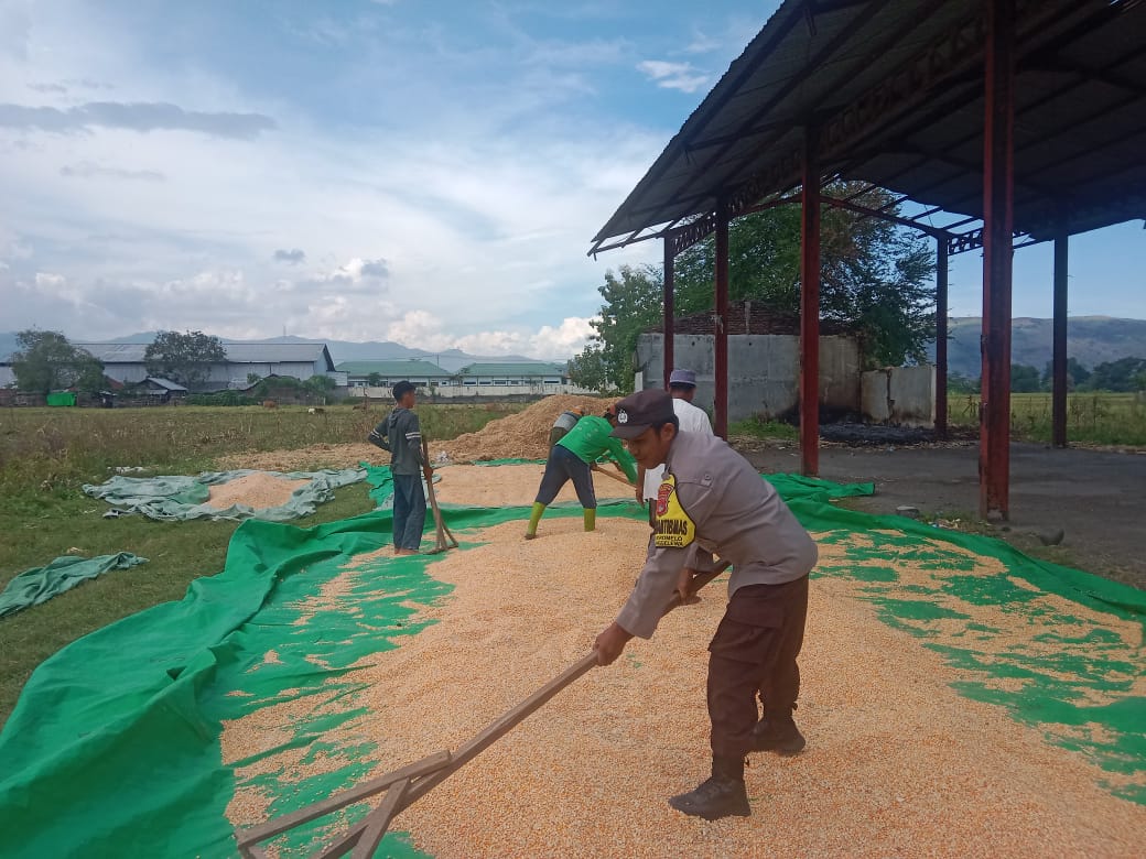 WhatsApp Image 2025-04-16 at 15.08.37