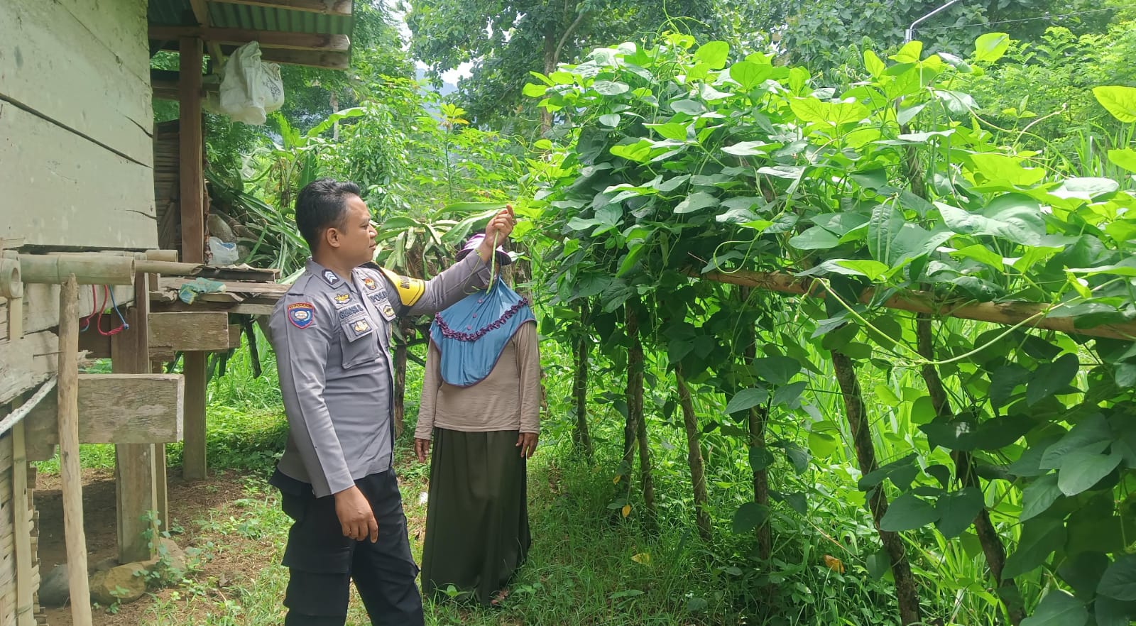 WhatsApp Image 2025-04-19 at 08.50.24