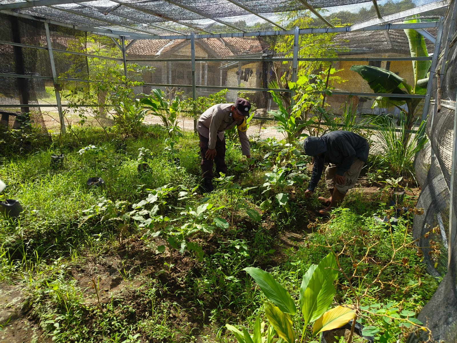 WhatsApp Image 2025-04-24 at 13.10.13