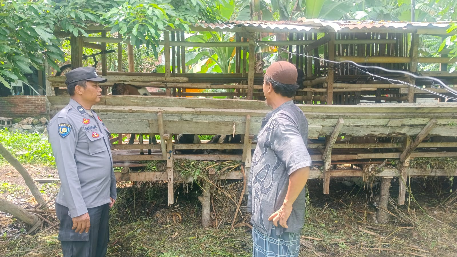 Bhabinkamtibmas Desa Beleka Jalin Silaturahmi, Dorong Ketahanan Pangan Lewat Beternak Kambing (4) Polri Aktif di Tengah Masyarakat: Kunjungan DDS Dukung Ketahanan Pangan Warga