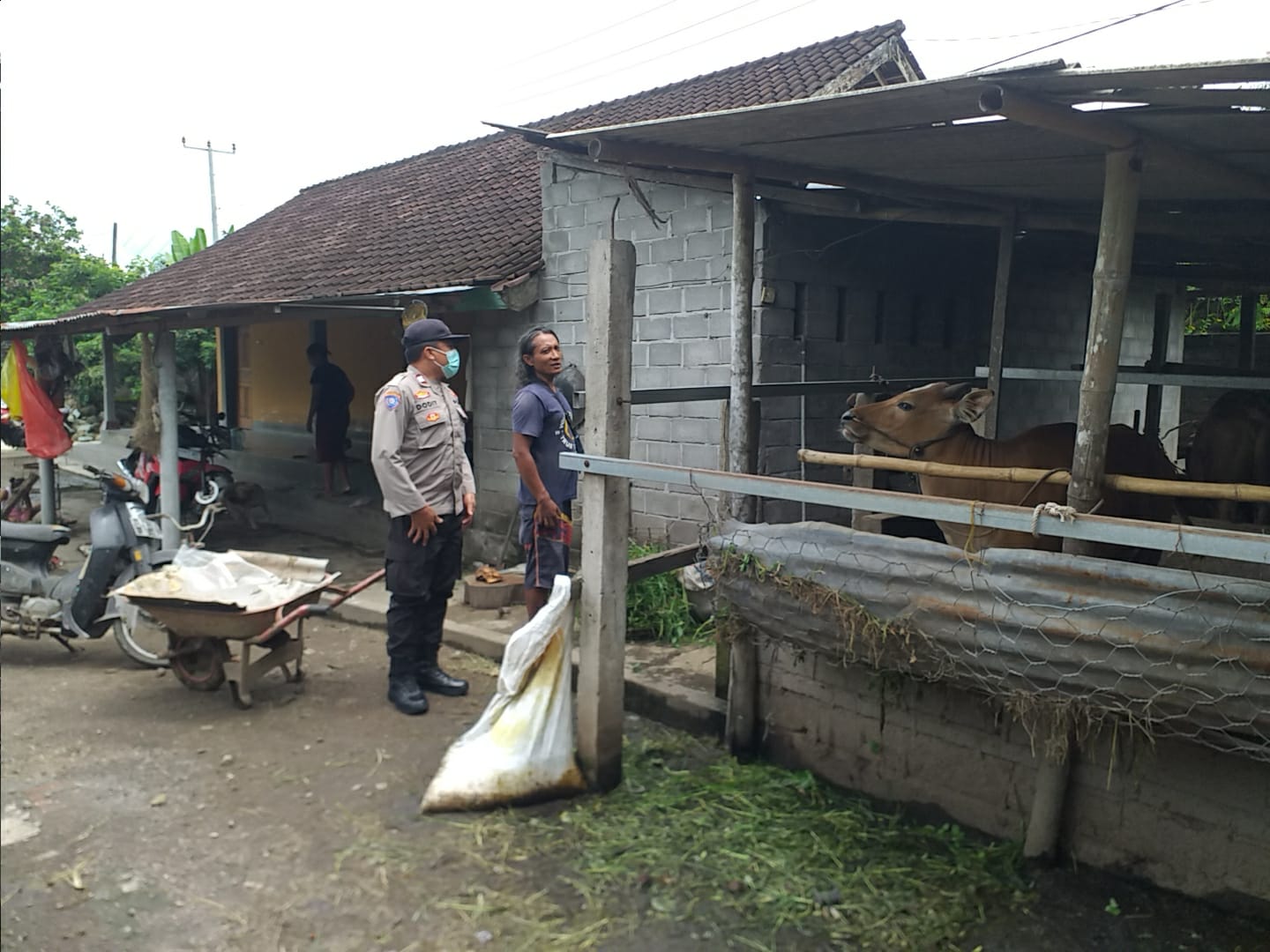 Bhabinkamtibmas Desa Jagaraga Aktif Sosialisasi Ketahanan Pangan, Warga Antusias Dukung Program (1) Peran Aktif Bhabinkamtibmas dalam Program Ketahanan Pangan Nasional