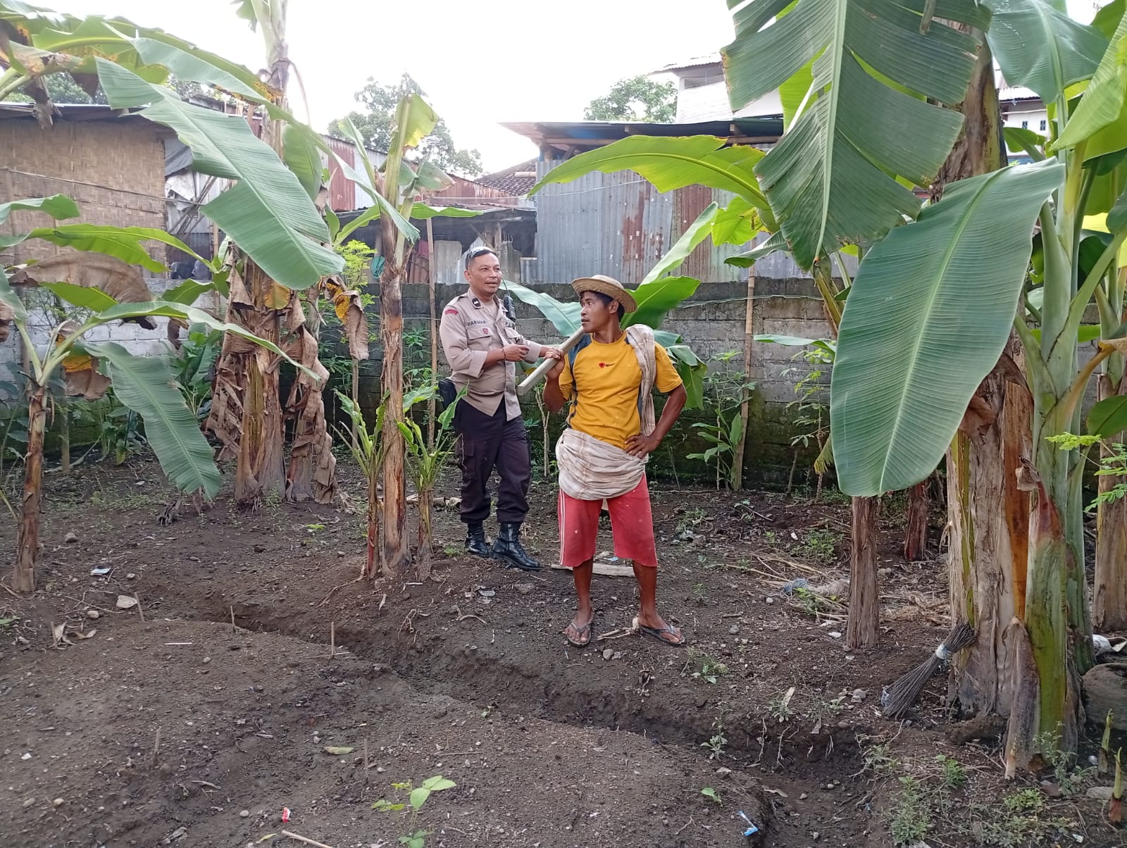 Bhabinkamtibmas Desa Merembu Gencar Dorong Ketahanan Pangan di Lombok Barat (4) pangan, desa, ketahanan, swasembada, bhabinkamtibmas, pertanian, edukasi, kolaborasi, keamanan, lombok