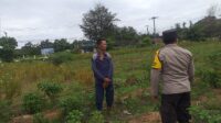 Bhabinkamtibmas Jagaraga Aktif Sosialisasi Ketahanan Pangan, Warga Antusias Dukung Program (1) Maksimalkan Lahan Produktif: Polri Ajak Warga Desa Jagaraga Dukung Ketahanan Pangan