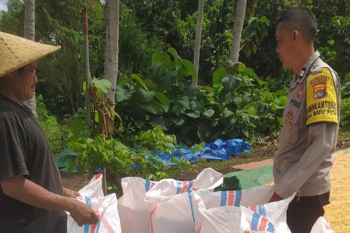 Bhabinkamtibmas Sekotong Dampingi Petani Jagung, Perkuat Ketahanan Pangan dan Sampaikan Pesan Kamtibmas (1) DDS Bhabinkamtibmas Sekotong: Dorong Ketahanan Pangan dan Keamanan