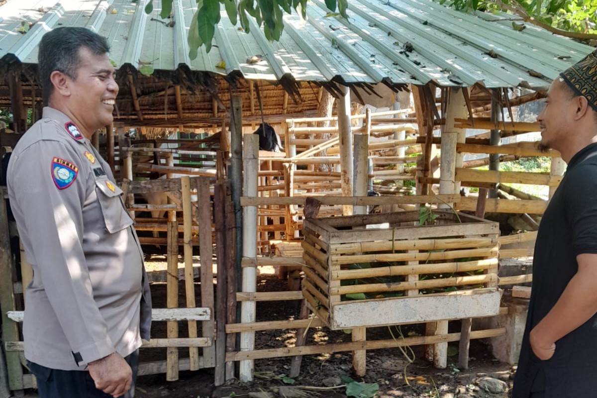 Bhabinkamtibmas Senggigi Aktif Dukung Ketahanan Pangan, Ajak Warga Manfaatkan Lahan Kosong (1) Sinergi Polri dan Masyarakat Dukung Kemandirian Pangan di Lombok Barat