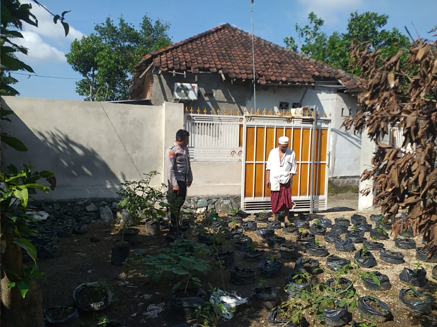 Kapolsek Kuripan Gencarkan Sosialisasi Ketahanan Pangan di Desa Jagaraga (3) Polsek Kuripan Aktif Sosialisasi Ketahanan Pangan di Lombok Barat