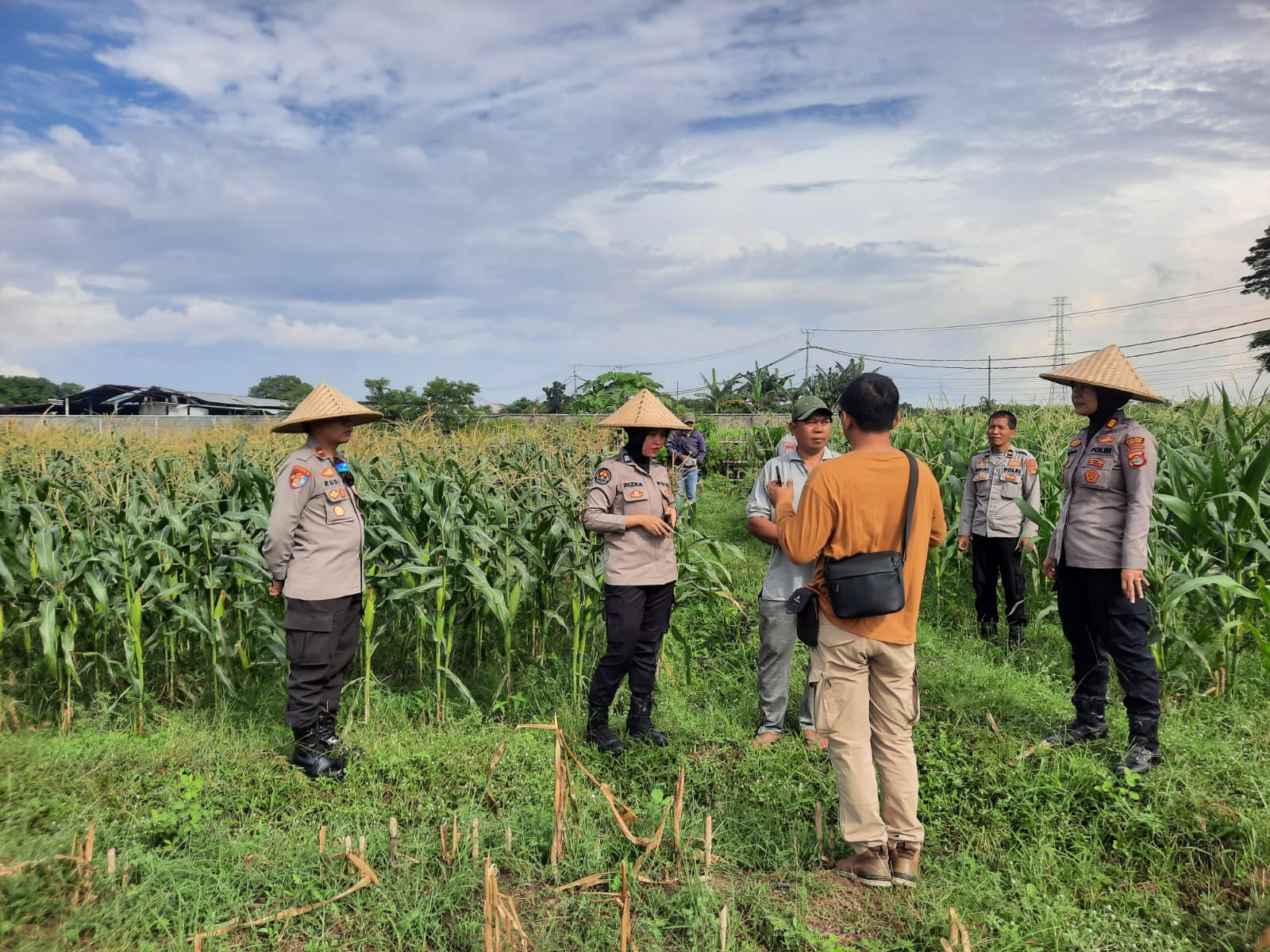 Polres Lombok Barat Kawal Ketat Petani Jagung Menuju Panen Raya (7) Polisi dan Petani Bersinergi: Kawal Panen Jagung Lombok Barat