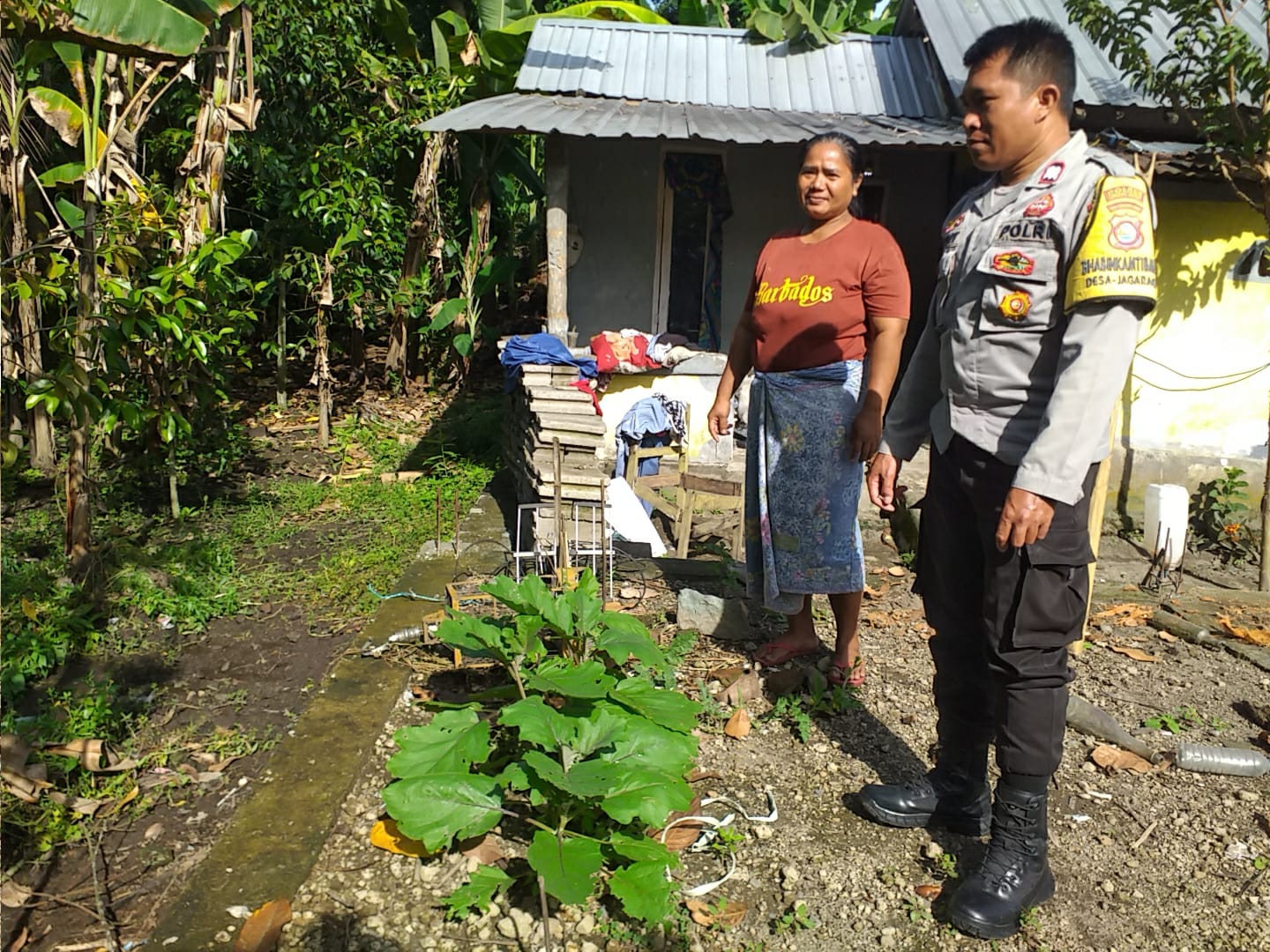 Polsek Kuripan Aktifkan Bhabinkamtibmas, Dorong Ketahanan Pangan di Desa Jagaraga (3) Bhabinkamtibmas Desa Jagaraga Sosialisasikan Program Ketahanan Pangan