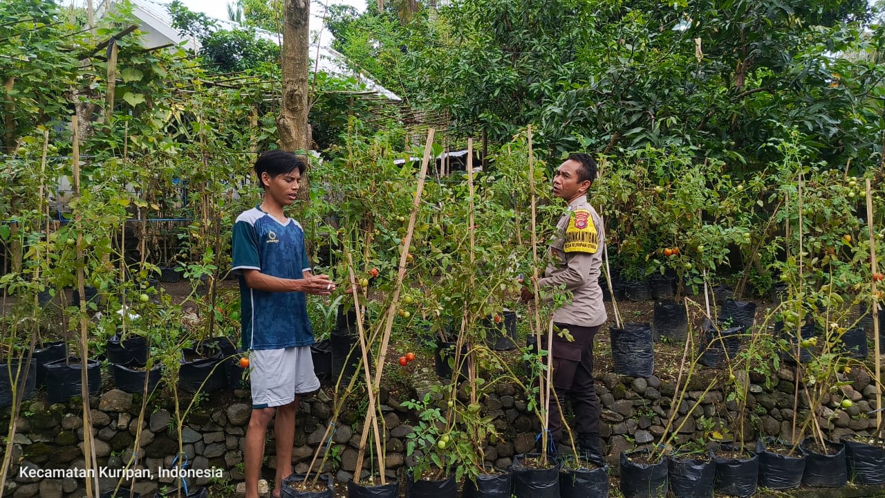 Polsek Kuripan Gandeng Pemuda Peduli Lingkungan Sosialisasikan Ketahanan Pangan (3) Kunjungan Bhabinkamtibmas: Edukasi Pemuda tentang Ketahanan Pangan Pekarangan