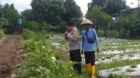 Polsek Kuripan Gencar Sosialisasi Ketahanan Pangan di Dusun Adeng, Warga Antusias Manfaatkan Lahan (3) Optimalisasi Lahan untuk Ketahanan Pangan: Langkah Nyata Polri di Lombok Barat