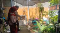 Polsek Labuapi Dorong Warga Perampuan Manfaatkan Pekarangan untuk Ketahanan Pangan (3) Door to Door System Polsek Labuapi: Pekarangan Sumber Pangan Bergizi