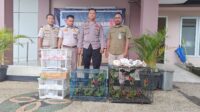 Sinergi Apik di Pelabuhan Lembar Puluhan Burung Ilegal Asal Dompu Diamankan, Terma ( Balai Karantina NTB dan Polisi Gagalkan Perdagangan Burung Ilegal di Pelabuhan Lembar