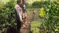Bhabinkamtibmas Banyumulek Edukasi Warga Soal Kebun Pekarangan (1) Bhabinkamtibmas Banyumulek Edukasi Warga Soal Kebun Pekarangan
