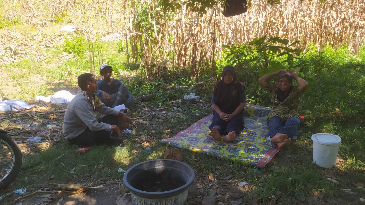 Bhabinkamtibmas Batu Putih Dampingi Petani Persiapan Tanam Jagung, Dukung Ketahanan Pangan Nasional (3) DDS Bhabinkamtibmas Perkuat Kemitraan di Musim Tanam Sekotong