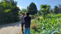 Bhabinkamtibmas Dampingi Petani Jagung di Mareje Timur, Lembar (1) Bhabinkamtibmas Dampingi Petani Jagung di Mareje Timur, Lembar