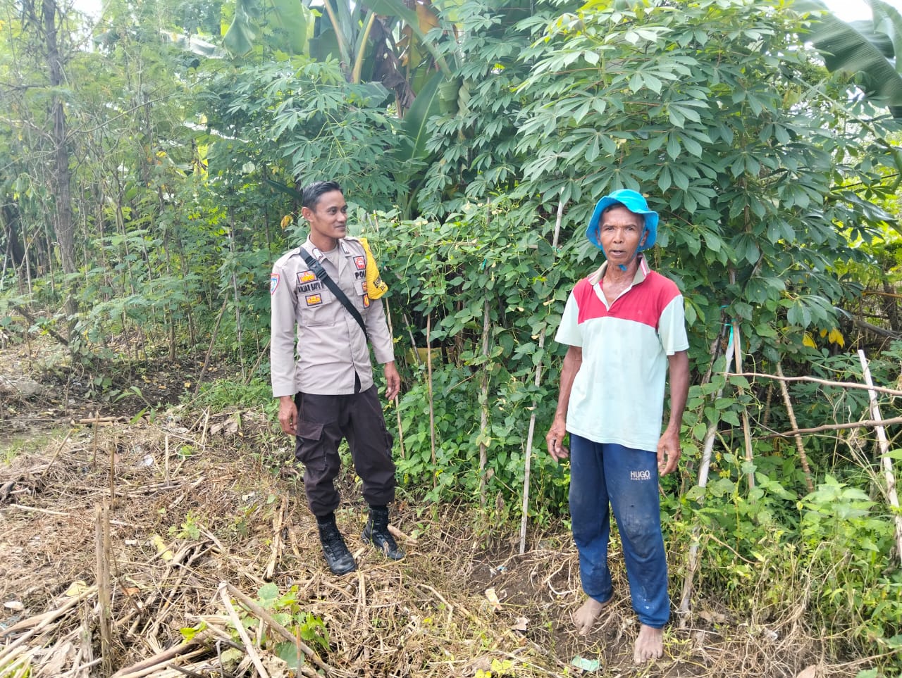 Bhabinkamtibmas Desa Rumak Aktif Edukasi Warga Soal Swasembada Pangan (3) Bhabinkamtibmas Desa Rumak Aktif Edukasi Warga Soal Swasembada Pangan