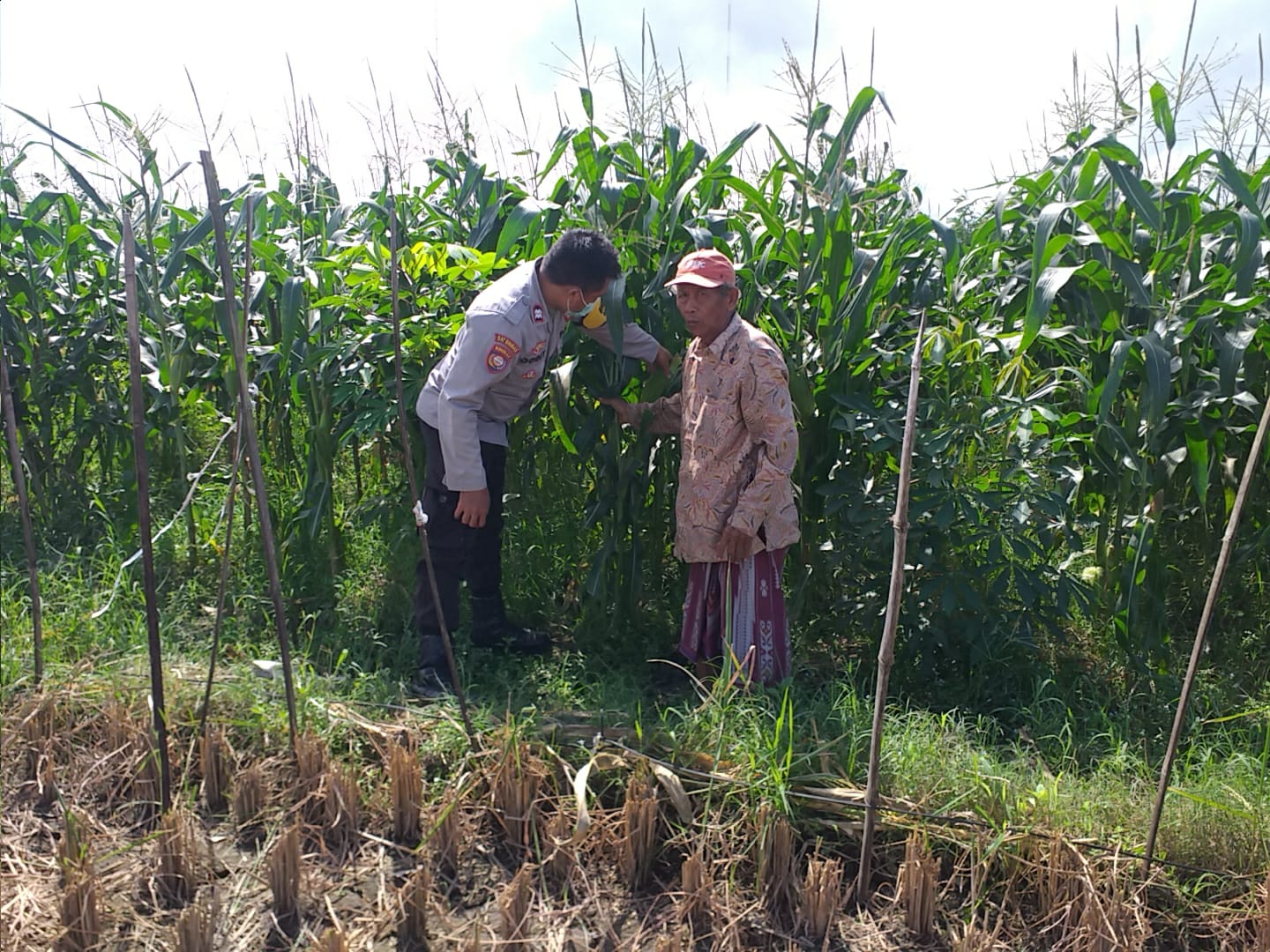 Bhabinkamtibmas Sosialisasi Pemanfaatan Lahan Kosong untuk Pangan