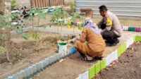 Bhabinkamtibmas Lembar Selatan Dorong Warga Kelola Lahan Pekarangan (1) Bhabinkamtibmas Lembar Selatan Dorong Warga Kelola Lahan Pekarangan