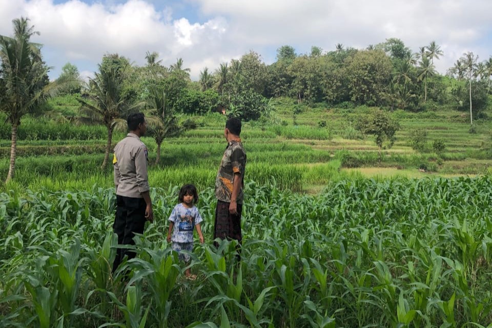 Bhabinkamtibmas Mareje Dukung Petani Jagung di Lembar (3) Bhabinkamtibmas Mareje Dukung Petani Jagung di Lembar